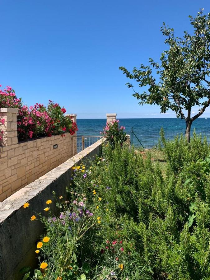 Charming Stone Cottage By The Sea Umag Eksteriør billede