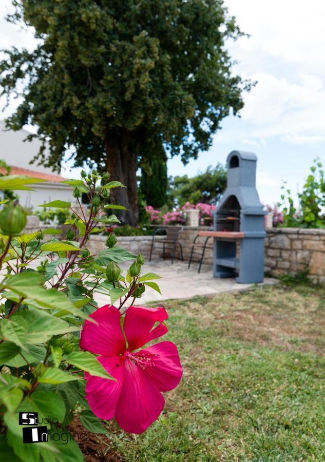 Charming Stone Cottage By The Sea Umag Eksteriør billede
